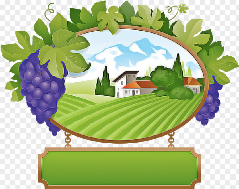 Vitis Plant Grape Grapevine Family Leaf PNG