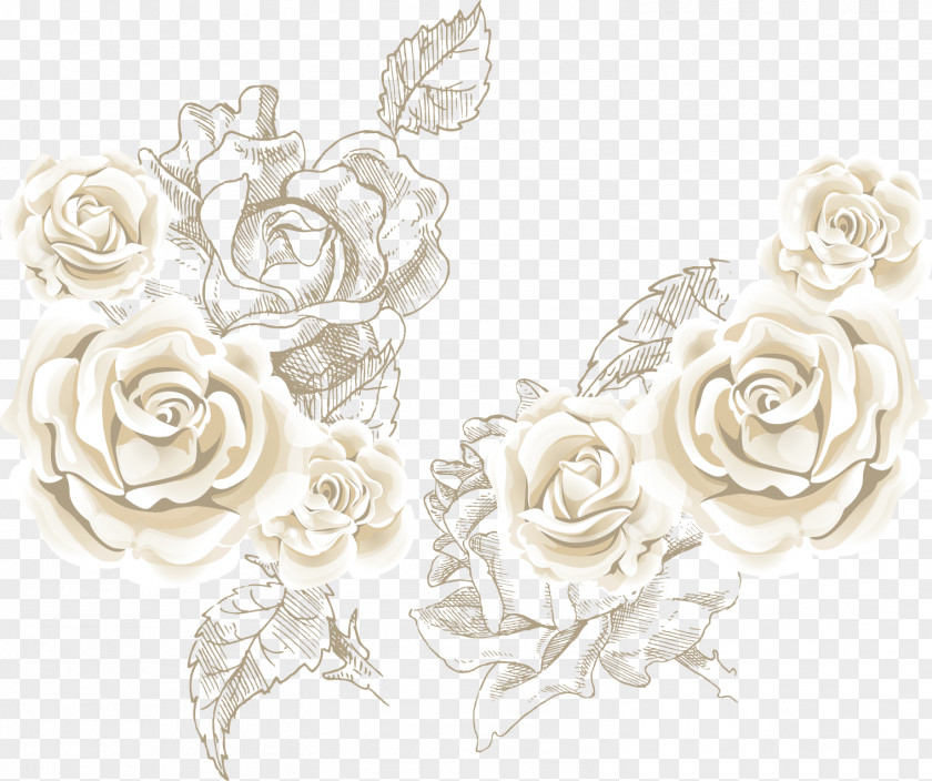 White Roses Background Vector Sea Beach Rose Flower Clip Art PNG