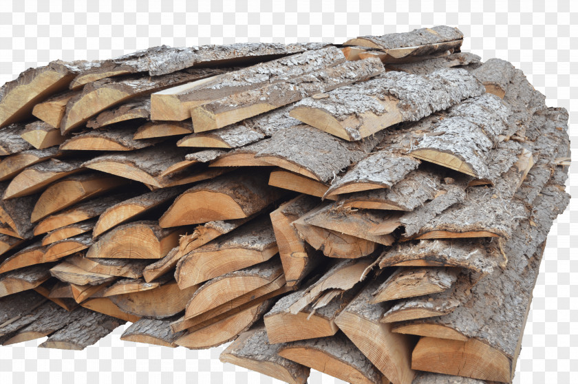 Wood Bark Jordi Giribets, Fusta Trunk Door PNG