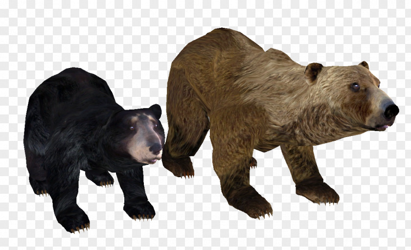 Bear Grizzly Brown American Black Shivering Isles PNG