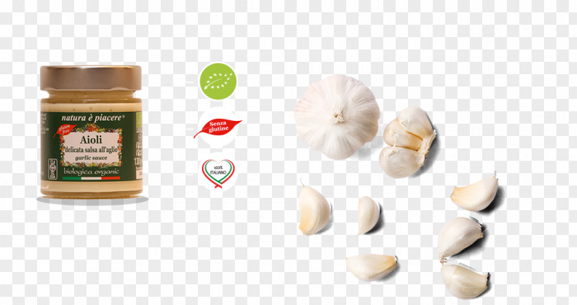 Garlic Aioli Pita Flavor Sauce Condiment PNG
