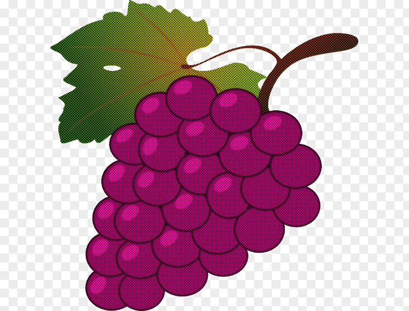 Grape Seedless Fruit Grapevine Family Vitis Plant PNG