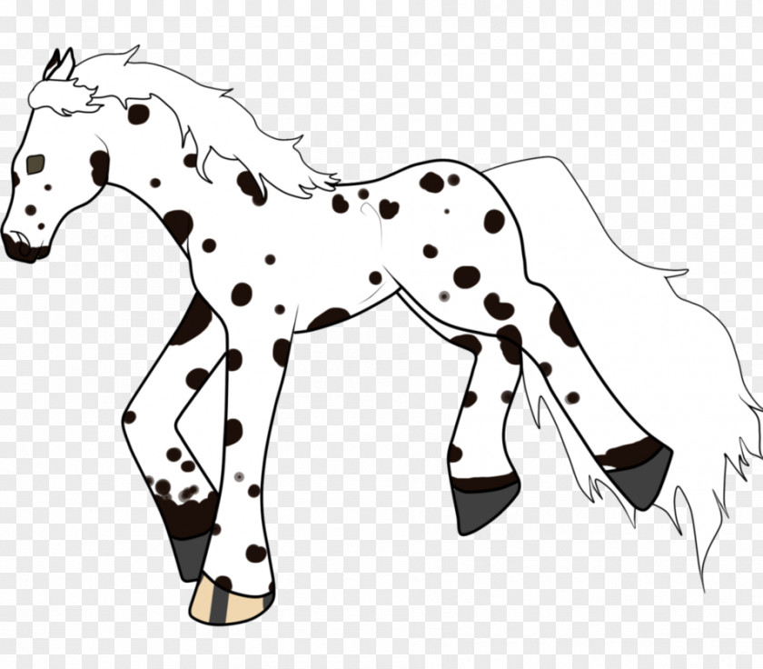 Mustang Mule Foal Stallion Colt PNG