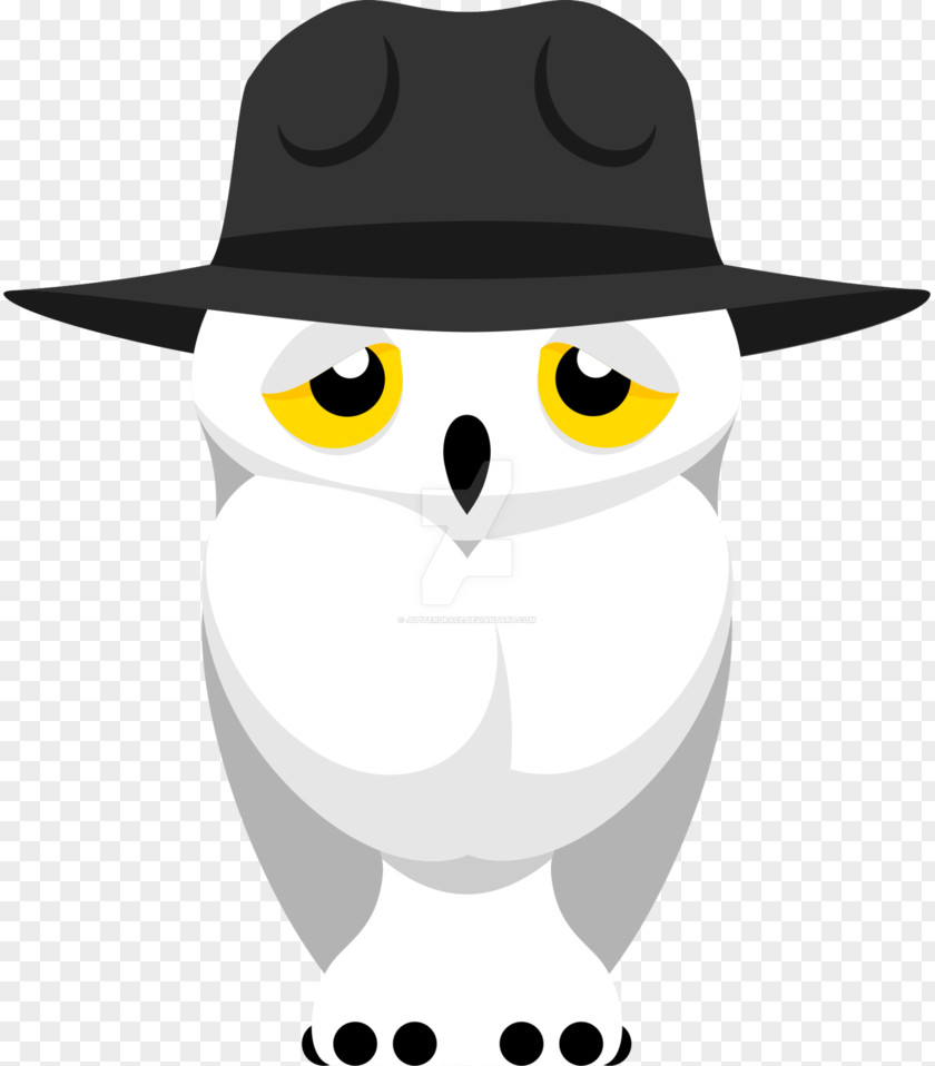 Owl Art Emoji Bird Animation PNG