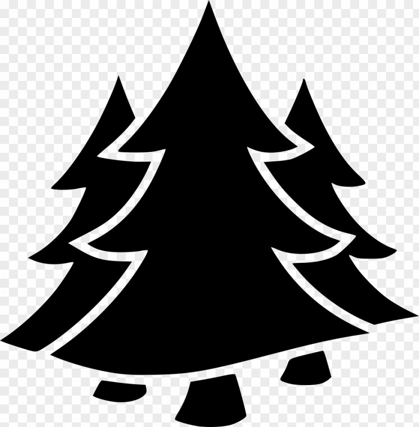 Tree Fir Spruce Industry PNG