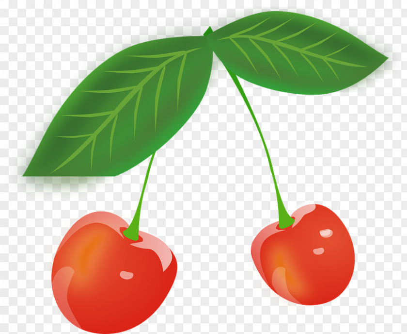Cherry Pie Cordial Clip Art PNG
