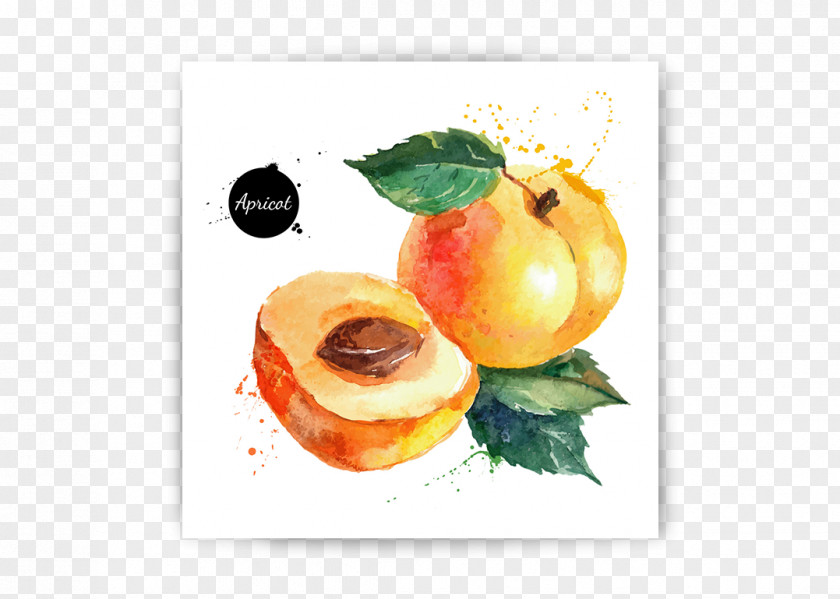 Customized Watercolor Painting Illustration Vector Graphics Fruit Vegetable PNG