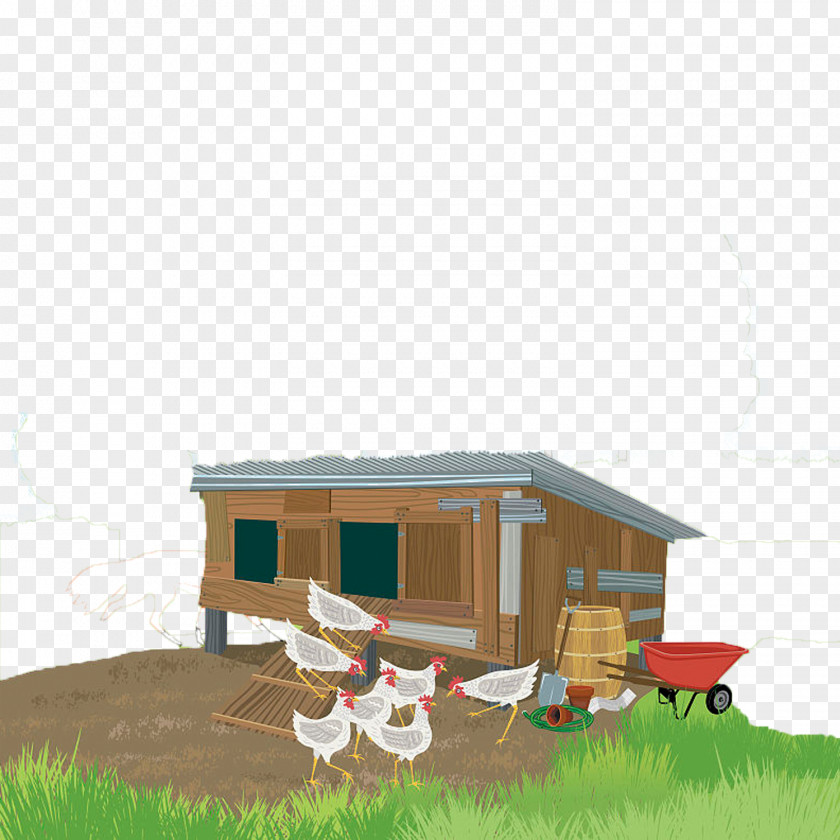 Flat Chicken Coop Euclidean Vector Poultry Duck PNG