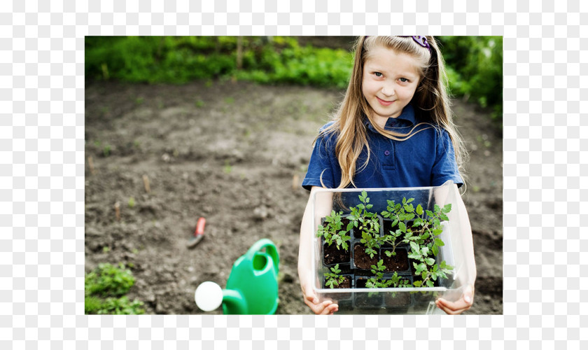 Organic Trash Gardening Child Container Garden Tool PNG