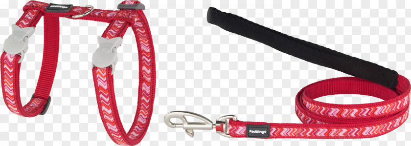 Pizzazz Leash AKS Solutions AB Dingo Dog Collar PNG