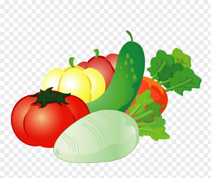 Cartoon Vector Fruits And Vegetables Vegetable Auglis PNG