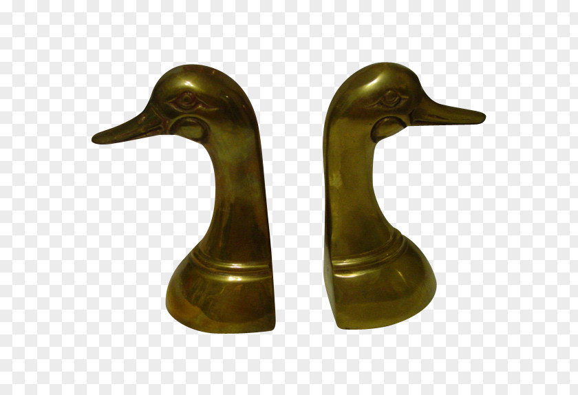 Duck 01504 PNG