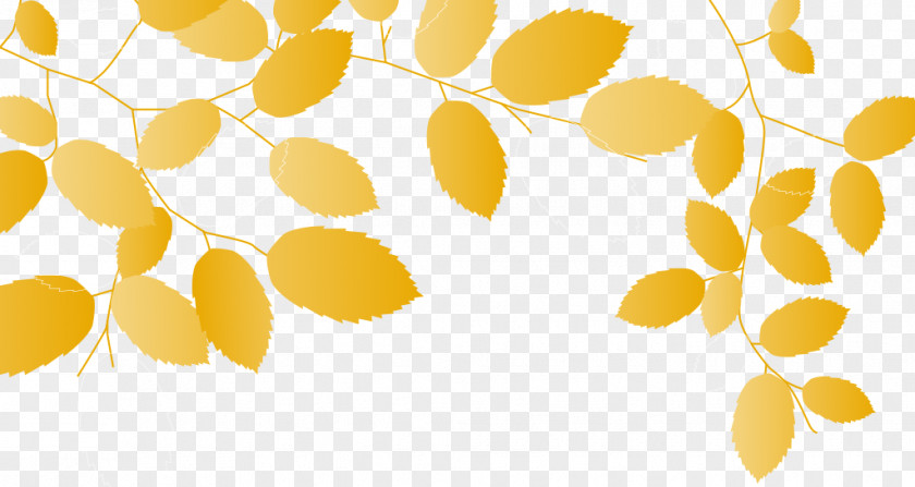 Leaf Desktop Wallpaper Petal Yellow PNG
