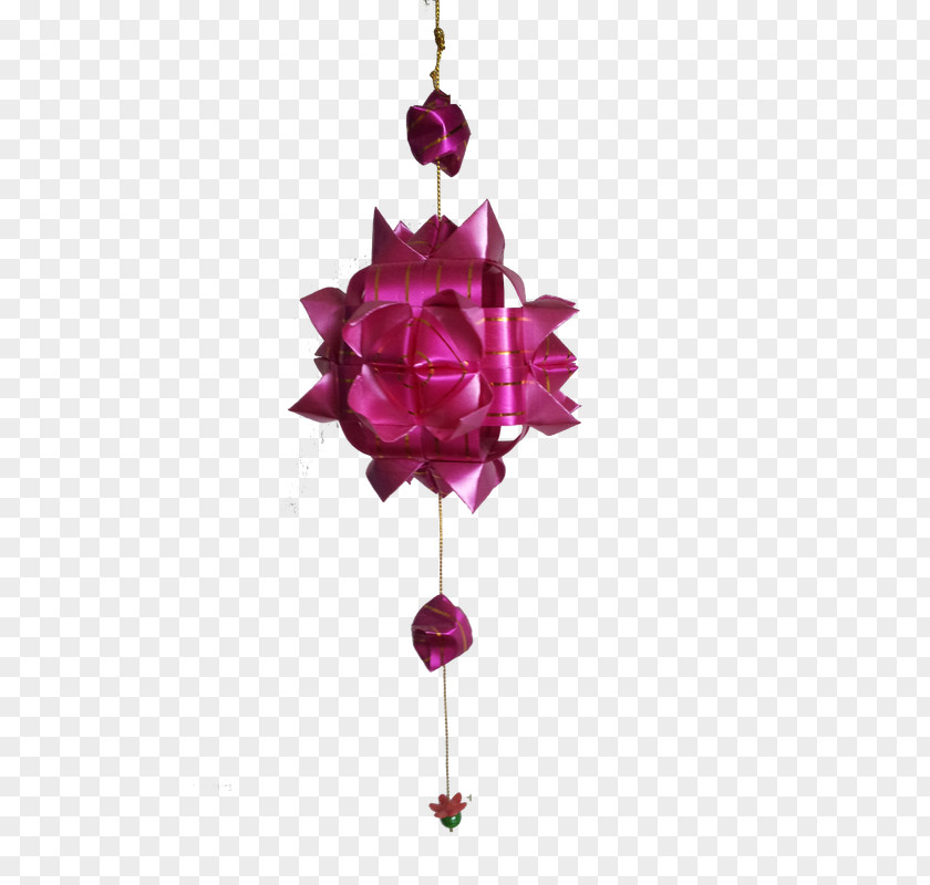 Lotus Lantern Garden Roses Cut Flowers Rosaceae PNG