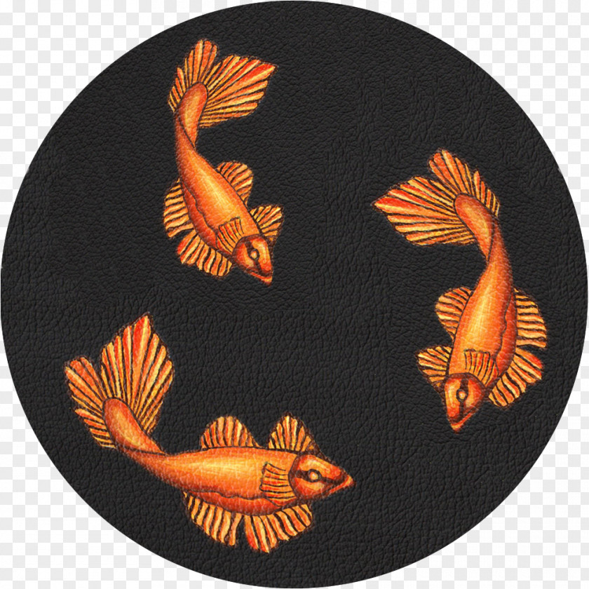 Orange Koi Fauna Fish PNG