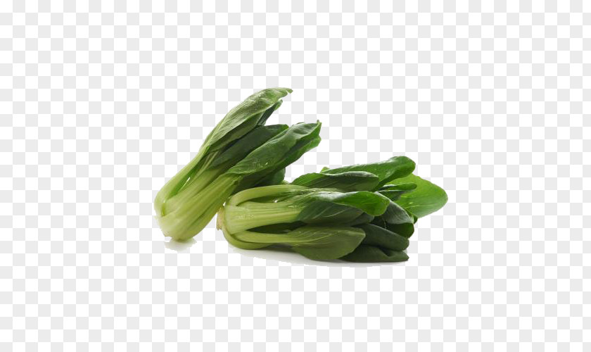 Brassica Vegetables Rapeseed Komatsuna Vegetable Turnip PNG