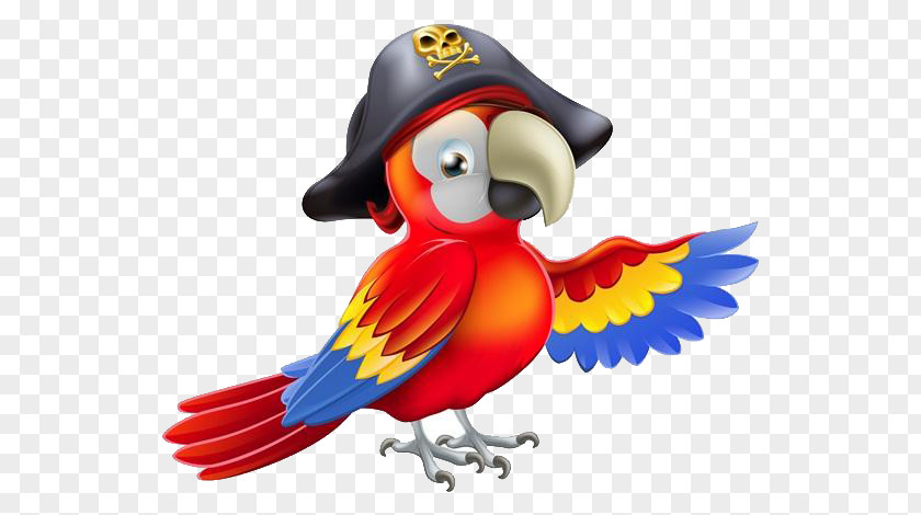 Cartoon Parrot Material Pirate Piracy Royalty-free PNG