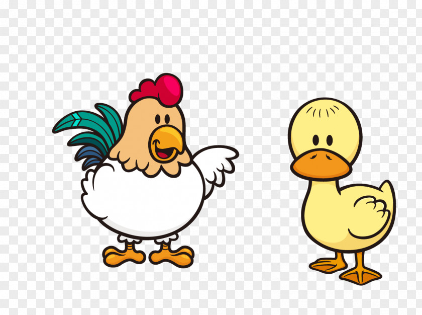 Chicken Cartoon Illustration PNG