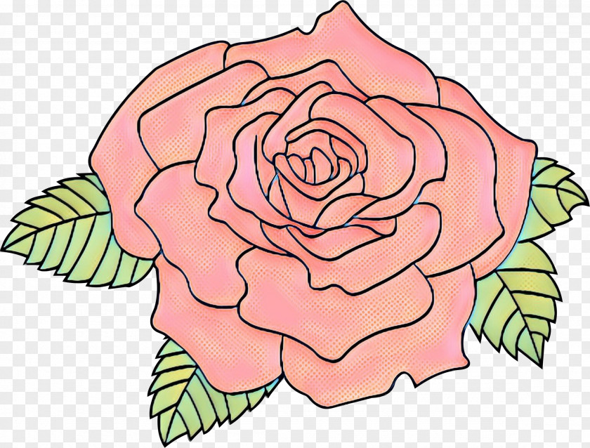 Floral Design Garden Roses Cabbage Rose Cut Flowers PNG