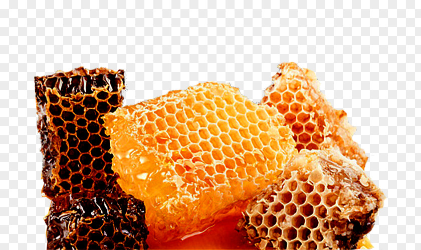 Honey Honeycomb Turrxf3n Bee Nectar PNG