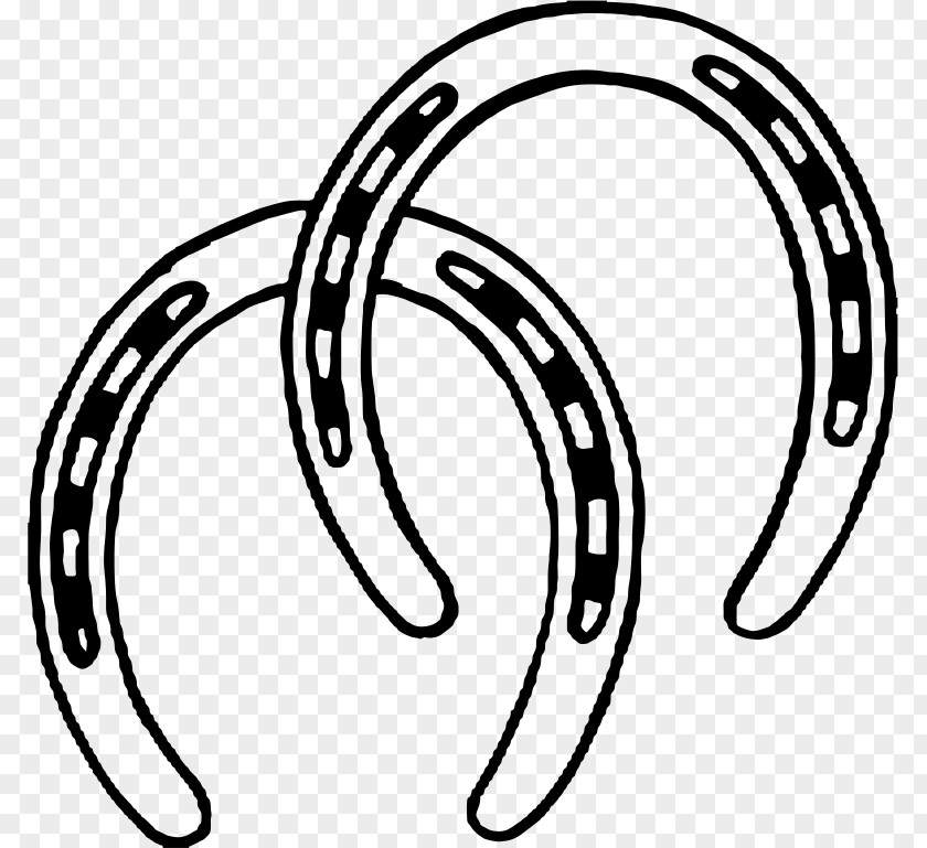 Horse Horseshoe Clip Art PNG