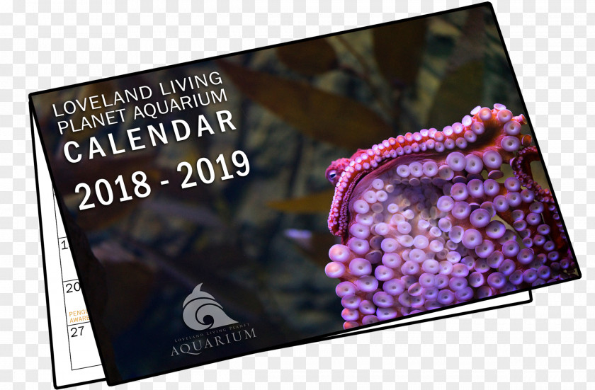 Loveland Living Planet Aquarium Display Advertising Brand PNG