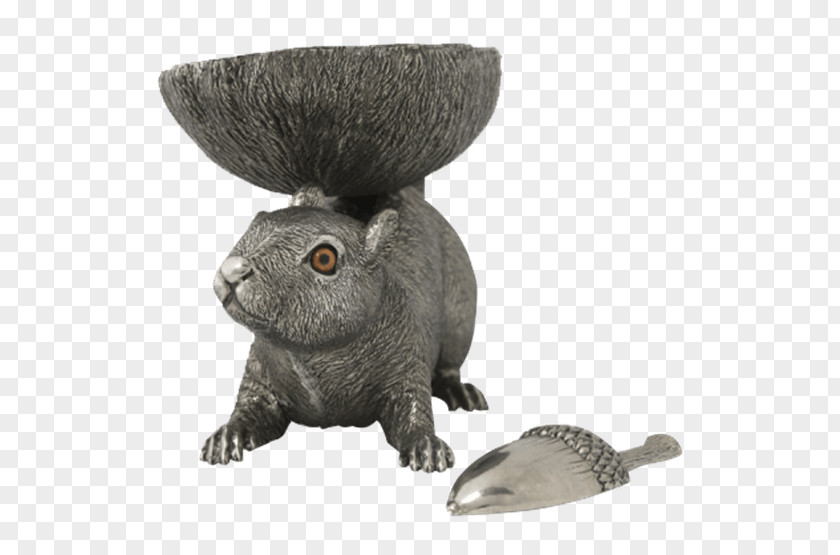 Nut Bowl Terrestrial Animal Snout PNG