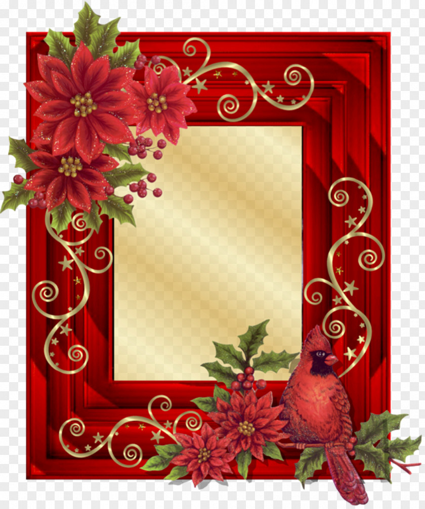 Psd Picture Frames Borders And Craft Christmas Poinsettia PNG