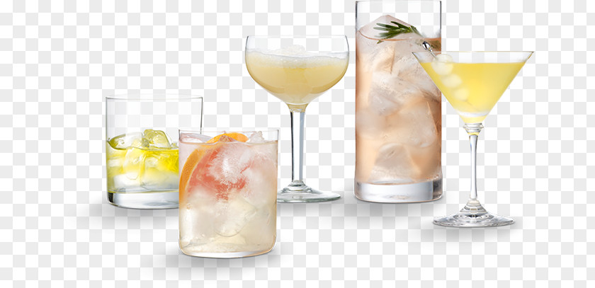 Spa Landing Page Cocktail Garnish Gin And Tonic Spritzer Non-alcoholic Drink Water PNG