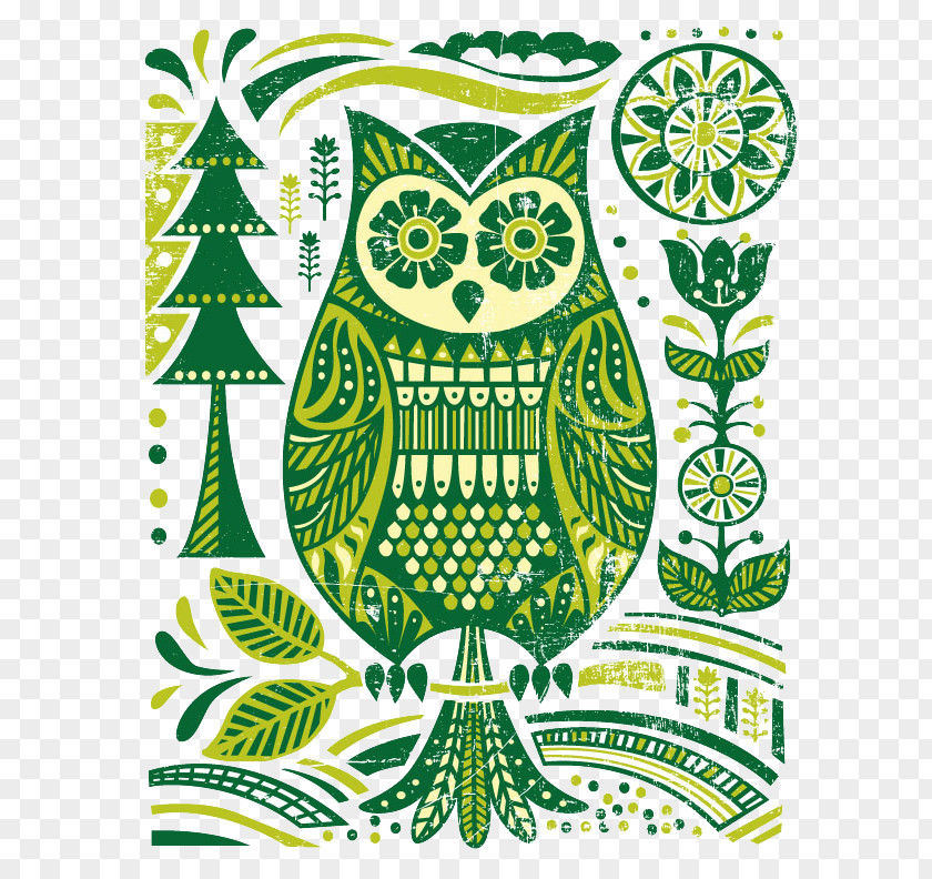 Vector Owl Drawing Cartoon Photography Illustration PNG