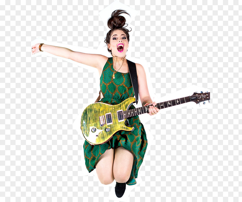 Bass Guitar Microphone Double PNG