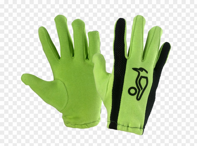 Cricket Batting Glove Kookaburra Sport PNG