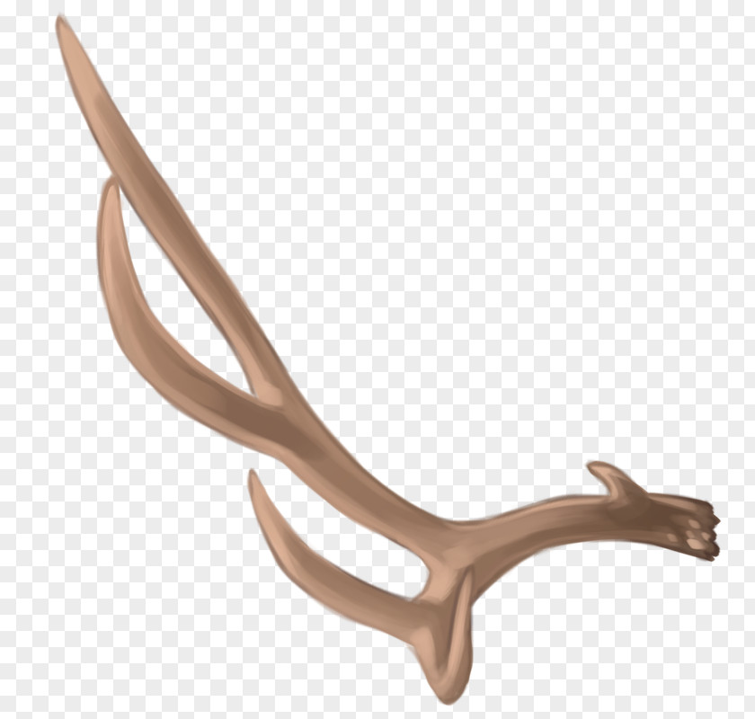 Deer Antler Material PNG