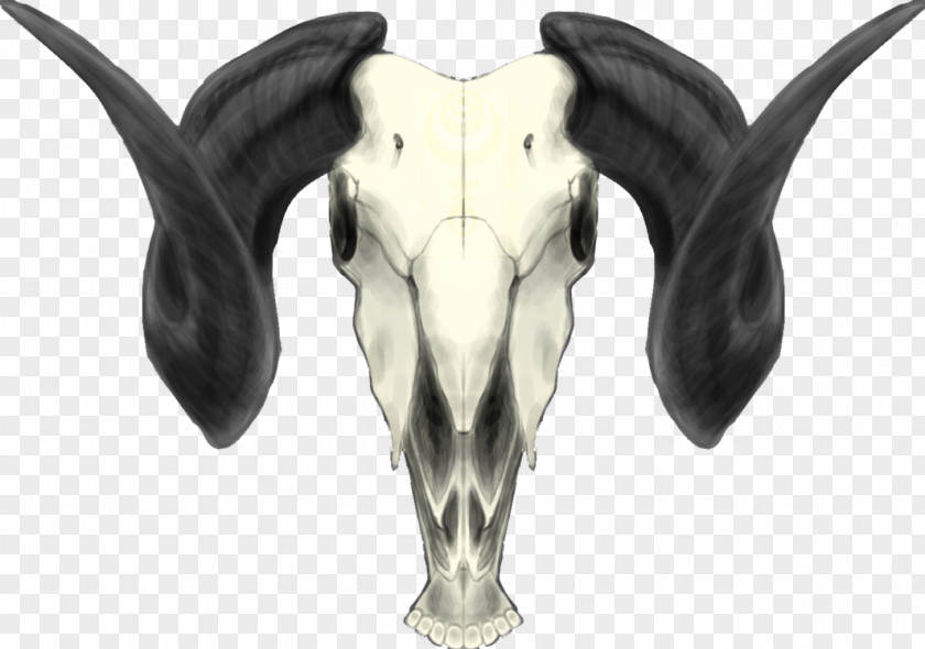Goat Cattle Antelope Horn Caprinae PNG