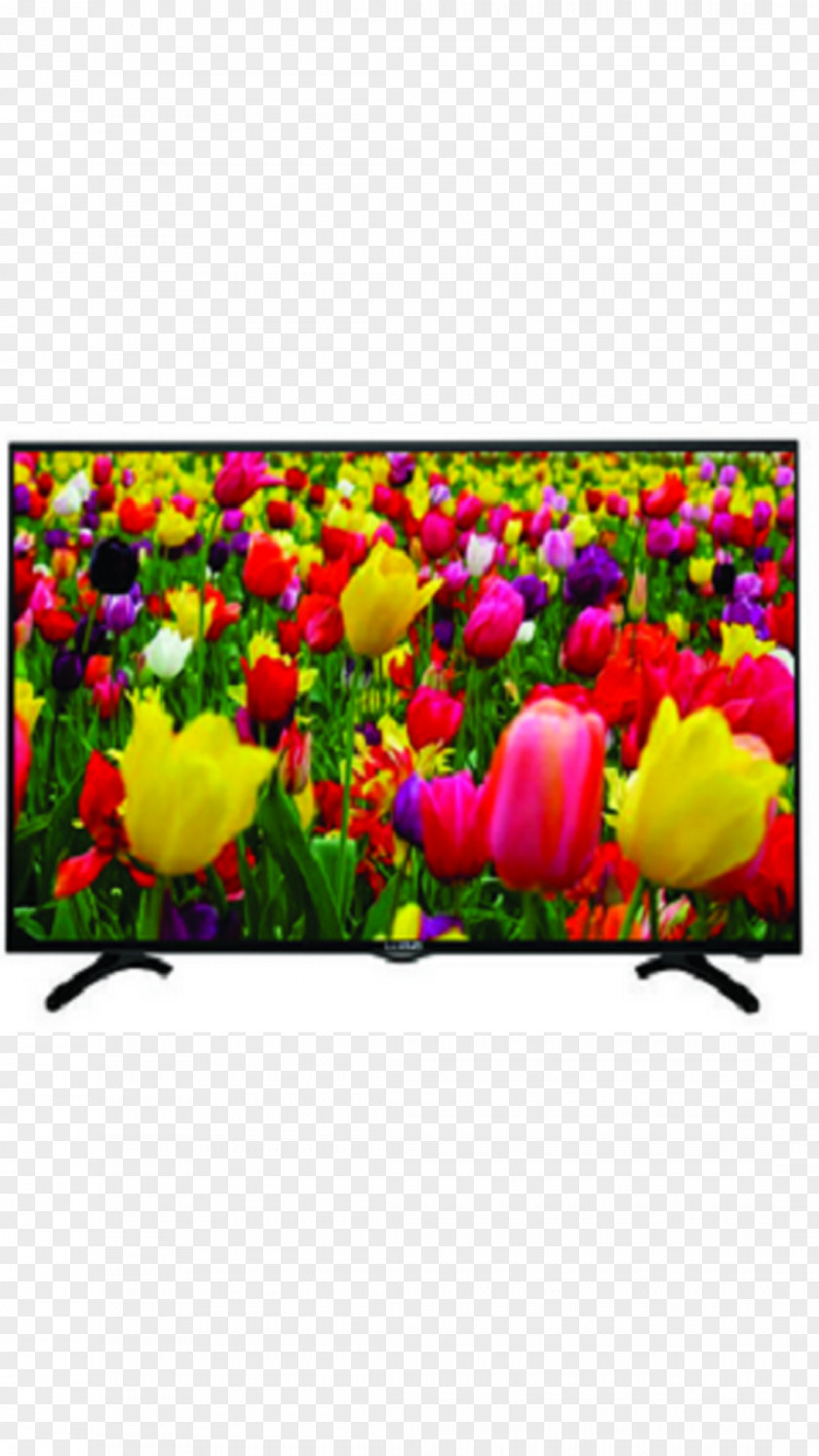 Led Tv LED-backlit LCD High-definition Television HD Ready 1080p PNG