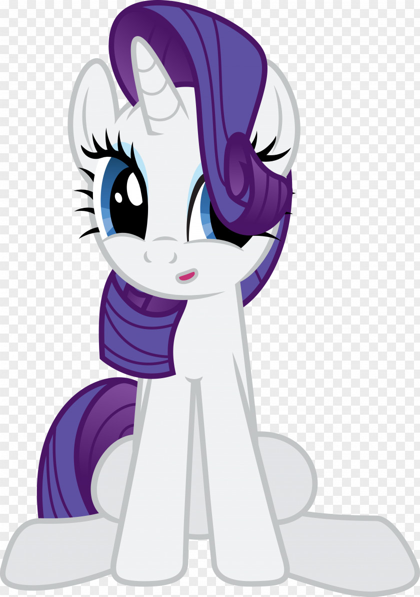 Little Pony Vector Free Download Rarity Rainbow Dash Scootaloo DeviantArt PNG