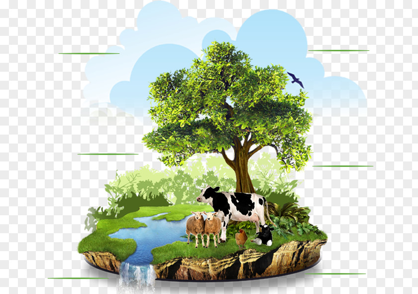 Natural Environment Agriculture Organic Food Farming PNG