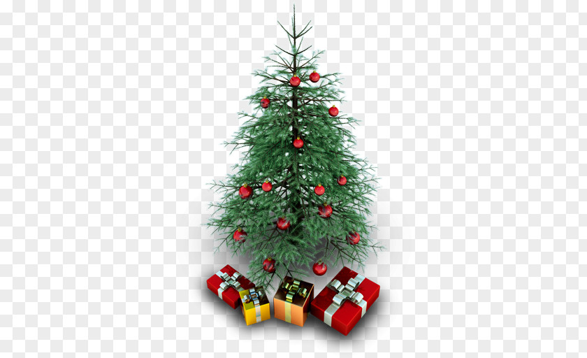 Xmas Tree Fir Evergreen Christmas Decoration Pine Family PNG