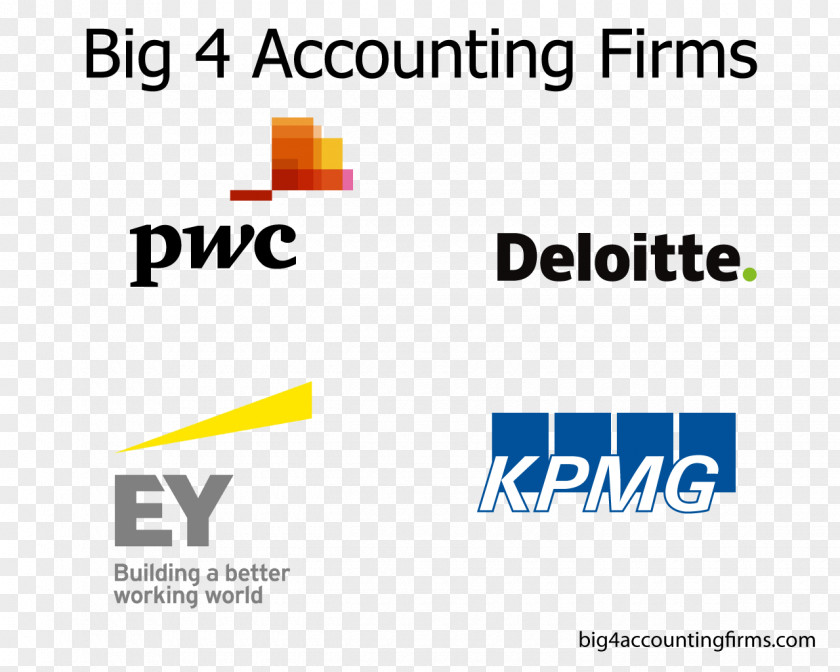 Business Big Four Accounting Firms Audit Networks And Associations PricewaterhouseCoopers PNG