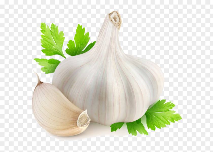 Garlic Herbalism Food Medicine PNG