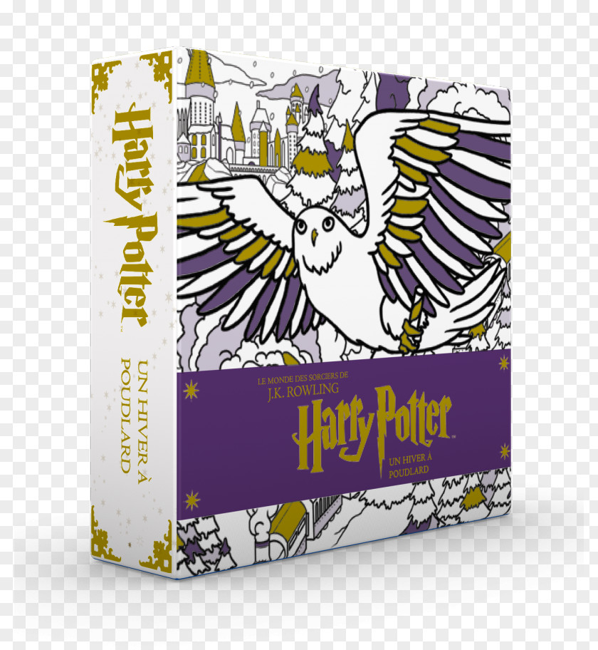 Harry Potter Potter, Un Hiver à Poudlard Hogwarts Huginn & Muninn Hewlett-Packard PNG