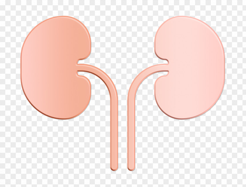 Kidneys Icon Medical Anatomy PNG