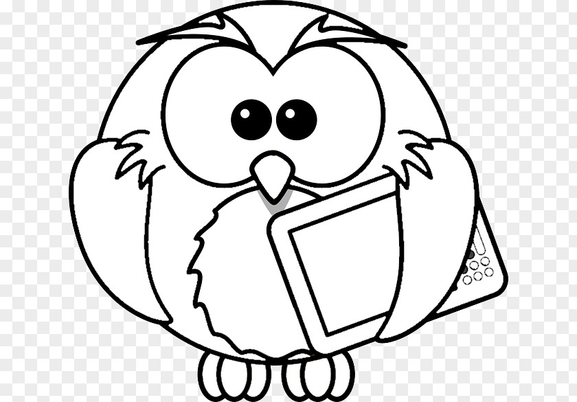 Owl Coloring Book Bird Clip Art PNG
