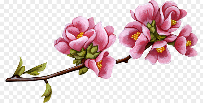 Spring Backgrounds Realistic Rose Family Garden Roses Clip Art Blossom Branch PNG