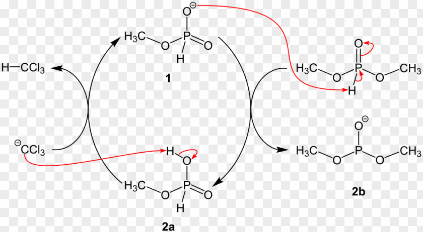 Atherton Atherton–Todd Reaction Name Chemical Organic Chemistry PNG