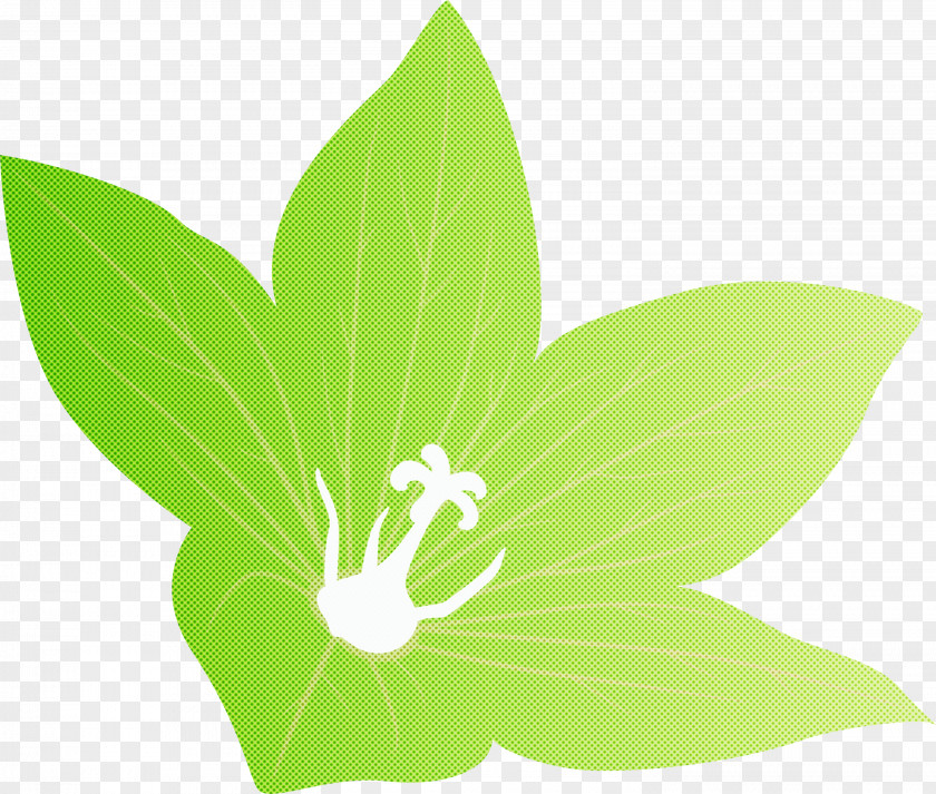 Balloon Flower PNG