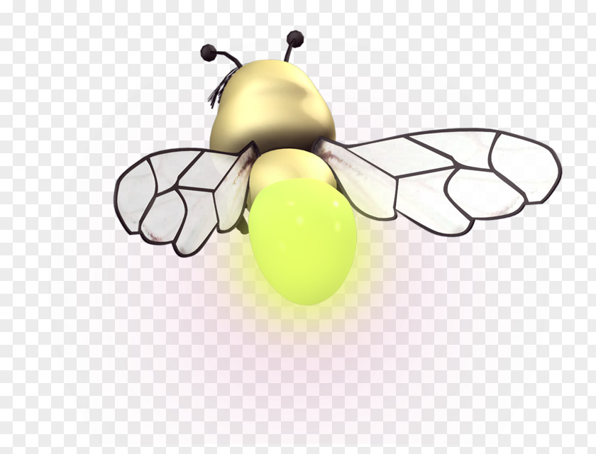 Bees Back Honey Bee Cartoon Illustration PNG