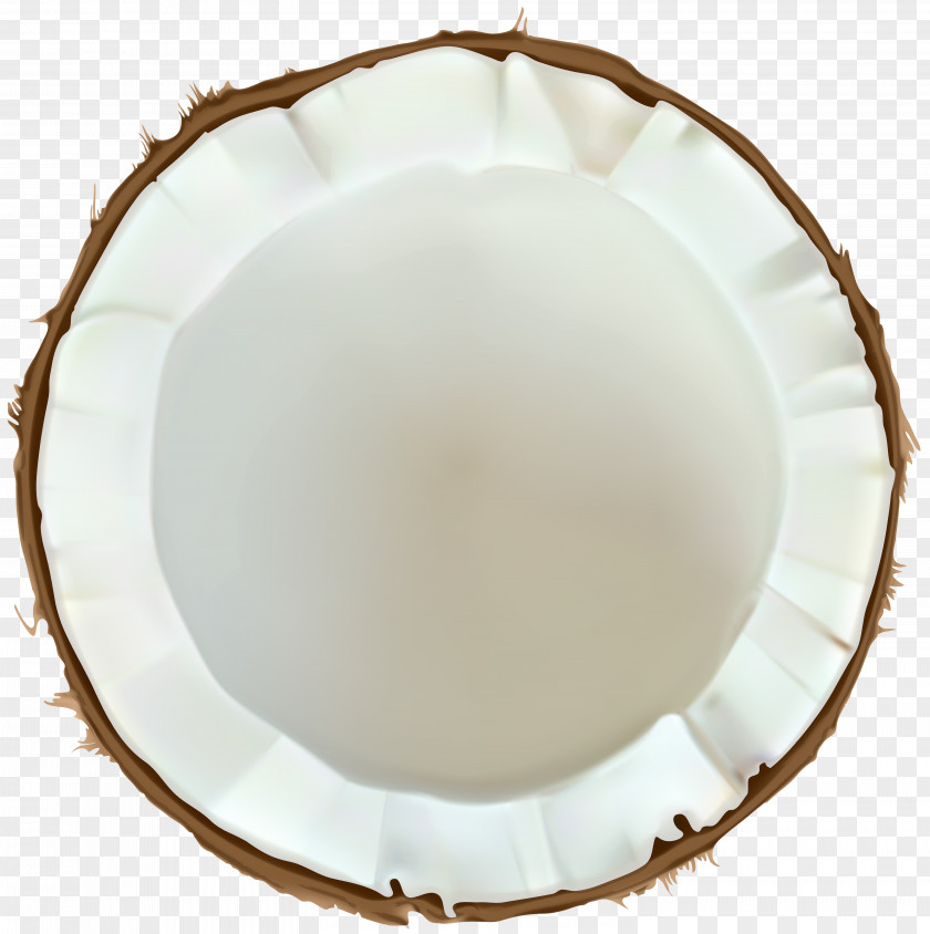 Coconut Clip Art Image PNG
