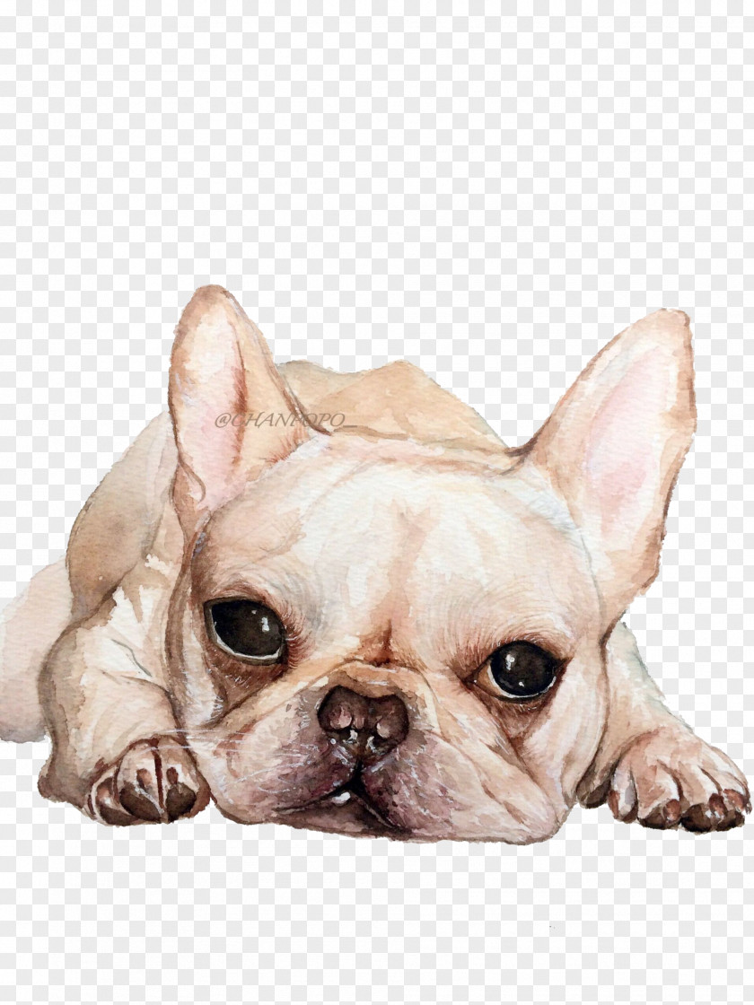 Cute Dog French Bulldog Toy Puppy Breed PNG