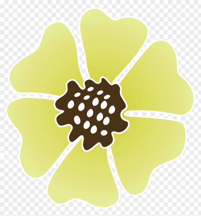 Design Petal Flowering Plant Leaf PNG